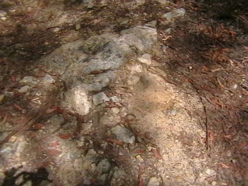 Landslide material on the Alum Mountain